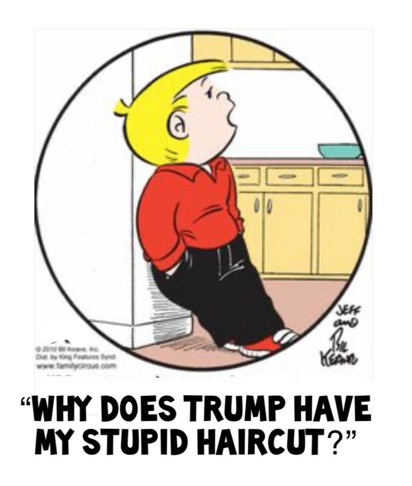 The son on the Family Circle cartoon in a photoshop asks "WHY DOES TRUMP HAVE MY STUPID HAIRCUT?"
He has Trump's weird half blond wispy mullet 
