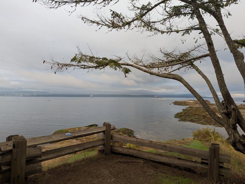 a view from a cliff onto a big body of water, with a couple of big ships and another coast on the horizon; tree branches slightly block the view