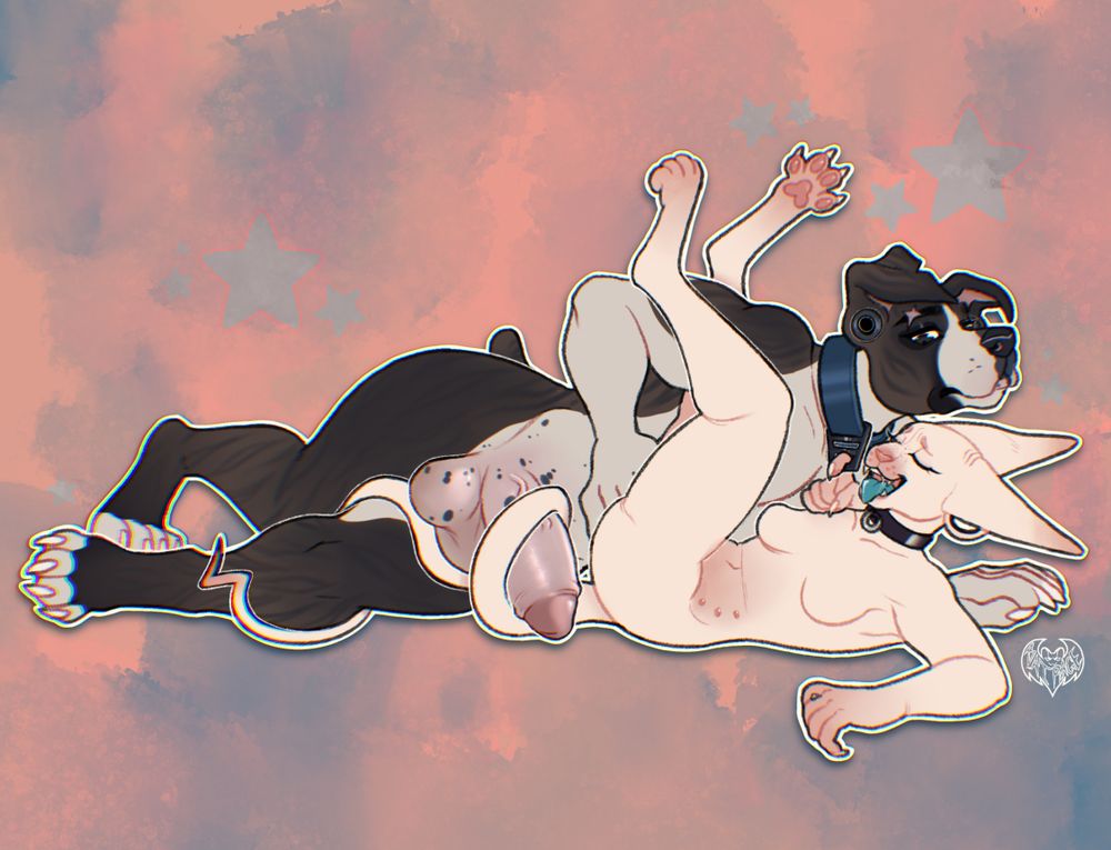 A large boxer dog is warming up his smaller sphinx cat partner for his very large... appendage.