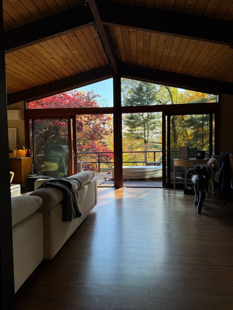 A photo taken from deep within a living room toward the southern exterior face of the building. The triangle formed by the post and beam construction is mostly filled in with double set of glass sliding doors broken up by a dark metal frame and topped with another pair of triangular panes reaching the roof line. Out the doors is a brilliantly rich red Japanese maple. A poodle dashes into frame at right, shocked someone is taking a photo where she is not the subject.