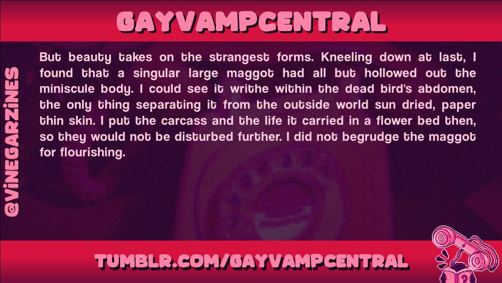 Writer spotlight for 'Gayvampcentral', with a snippet of writing: a reflection on the beauty of nature and maggots.