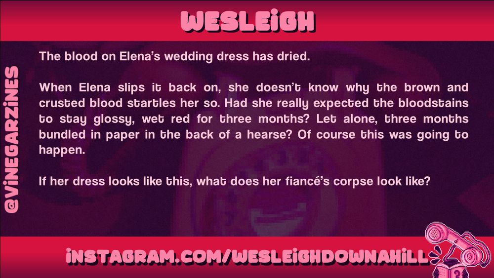 Writer spotlight for 'Wesleigh', with a snippet of writing: horror with a unfulfilled bride and dead fiance.