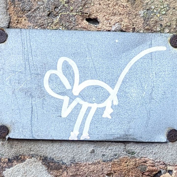 A digital photograph of graffiti, a drawing of a rat holding out their little arms further than possible.