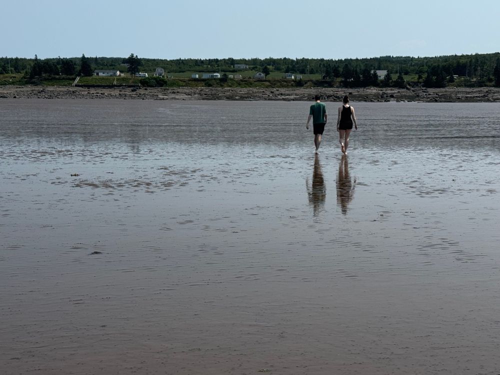 Walking on low tide