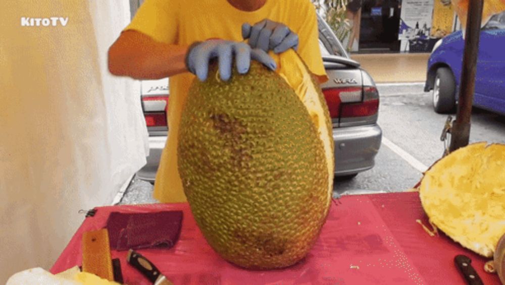 a man in a yellow shirt is cutting a large fruit in front of a car that says jac