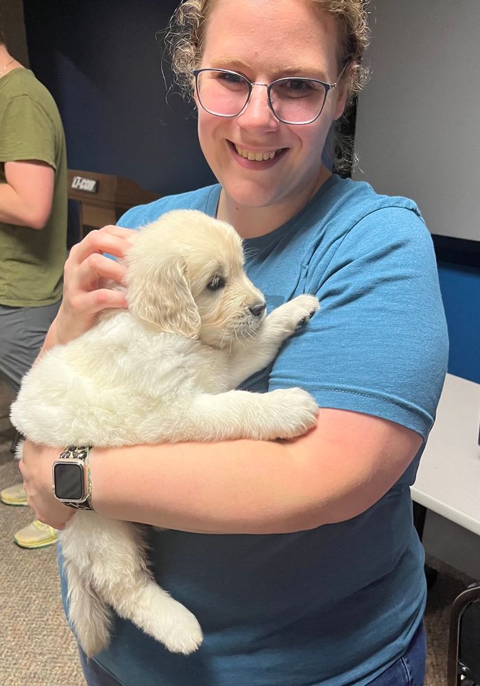 A smiling young woman is holding a six week old retriever puppy.  Both puppy and person seem delighted 