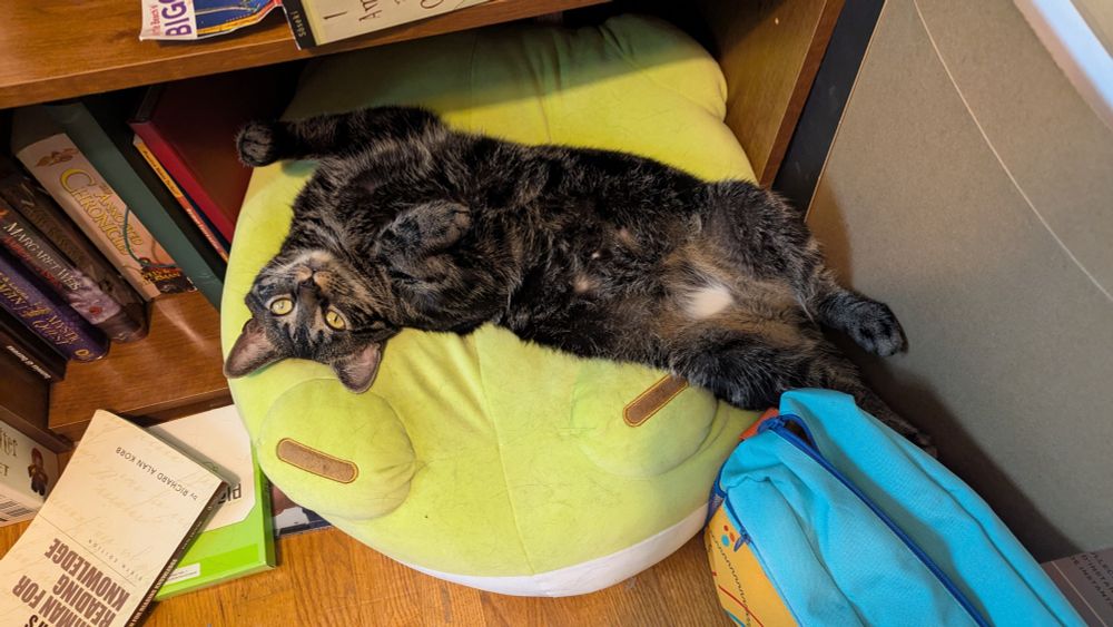A large grey tabby laying on top of a large plush frog. He is laying on his back, front and rear legs half stretched out. His head is turned to the side and he is looking past the camera. A flash of white fur is noticeable on his lower belly/torso.