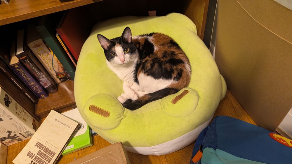 A small calico cat sitting on a large plush frog. She is curled in a loose circle near the middle of the plush. She is looking directly at the camera with half closed eyes.