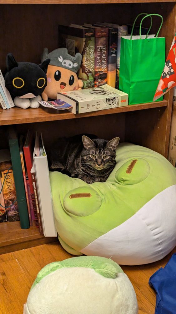 A black and brown tabby sits on a large frog plush which is sitting half on and half off the bottom shelf of a book shelf. Several books and some other plushes are sitting on the shelves. The tabby looks content, eyes half shut. The Mega Bean plush is about the size of a large bean bag and is indented with the weight of the cat. A smaller Bean plush lies on the ground in front of Mega Bean.