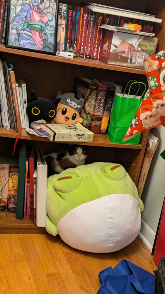A small Calico cat sits on a large frog plush sitting on and over the bottom shelf of a book case. There are books and other plush on the other visible shelves. The calico is somewhat hidden in the shadow of the shelf above her, but is staring at the camera. Mega Bean is squished forward with the cat on the back half of it.