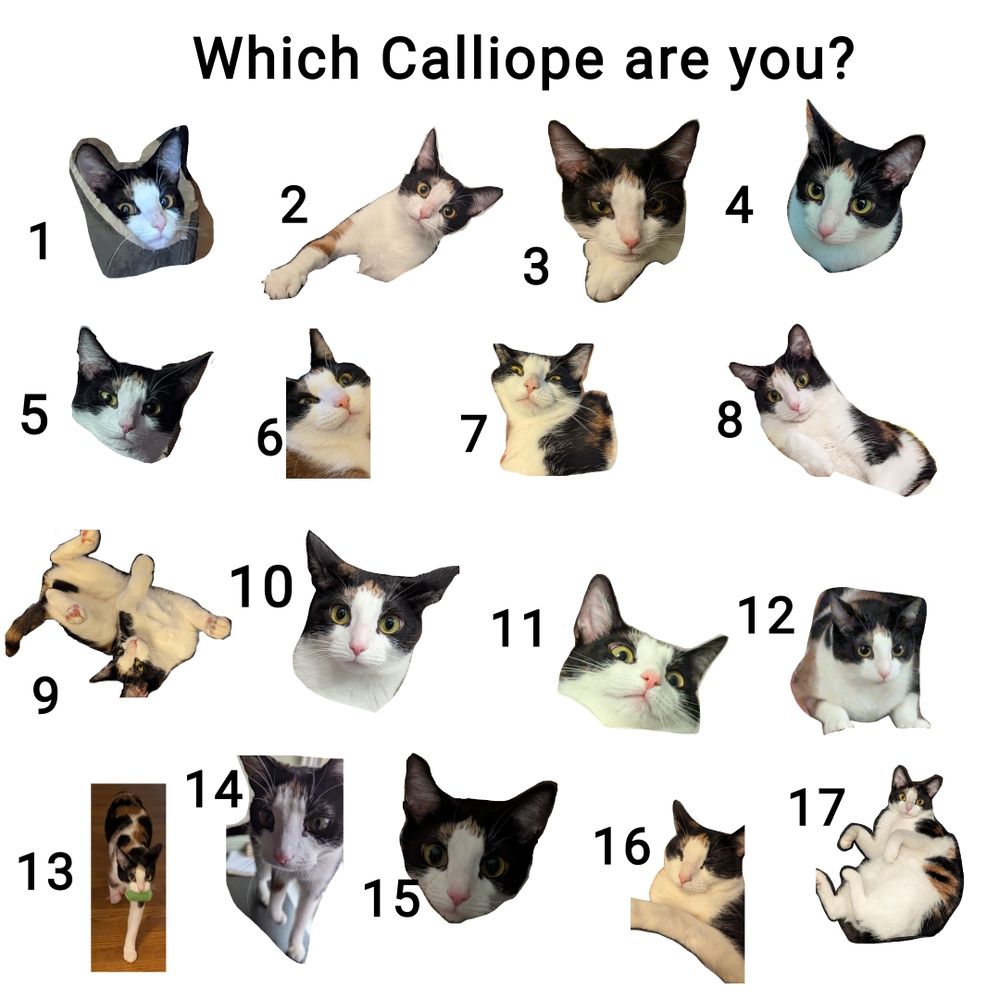 An image with the text "Which Calliope are you?" and 17 numbered images of Calliope, a small calico cat. 1 is her peering out the side of a covered cat bed with trepidation. 2 is her looking pleadingly at the camera, a paw outstretched. 3 is her looking content with her chin resting on her paws. 4 is her looking up from a low angle. 5 is just her head looking slightly annoyed. 6 is here with a big grin and looking a bit chunky. 7 is her with a strange glare on her face. 8 is her leaning and looking curious. 9 is her laying on her back, legs akimbo. 10 is her looking at the camera with an ear turned behind her. 11 is just her head leaned back with a slightly wild expression. 12 is her hunched like she is going to pounce. 13 is her walking into a room carrying a bright green toy mouse in her mouth. 14 is her approaching the camera with interest. 15 is her with big dilated eyes. 16 is her resting witb eyes closed. 17 is her layong on her back as she looks directly at the camera