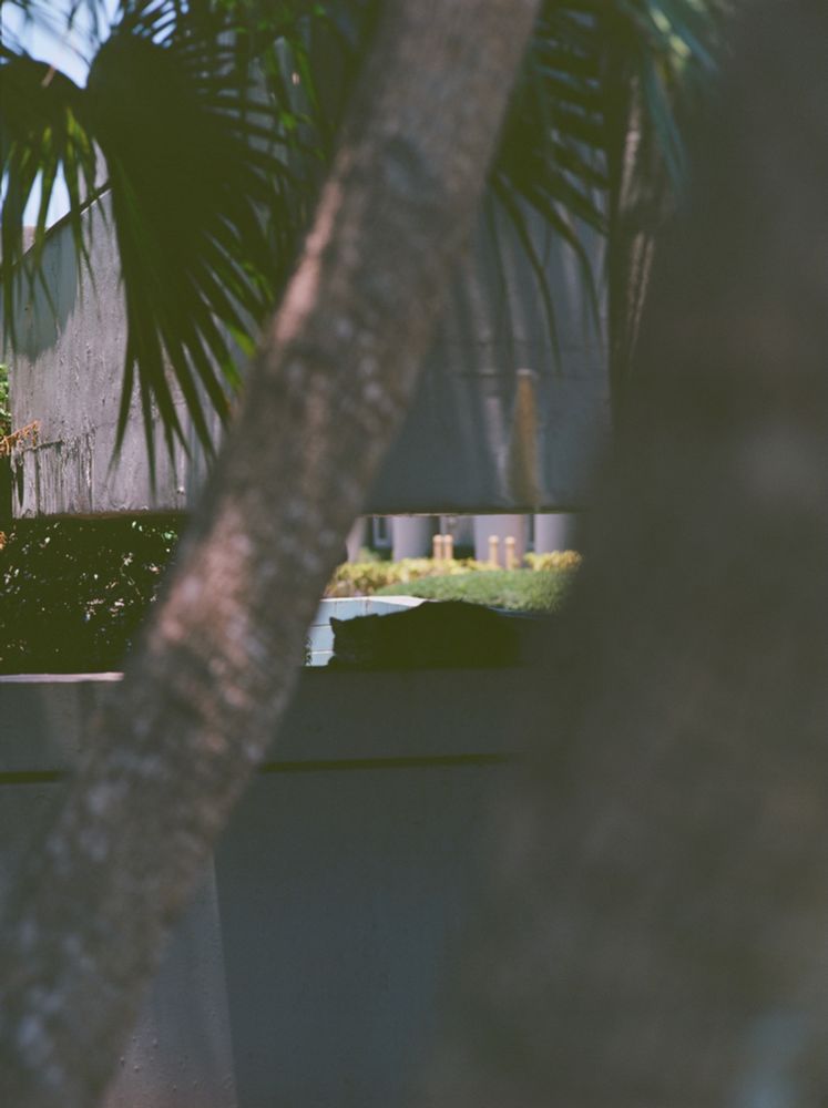 Silhouette of a cat laying down