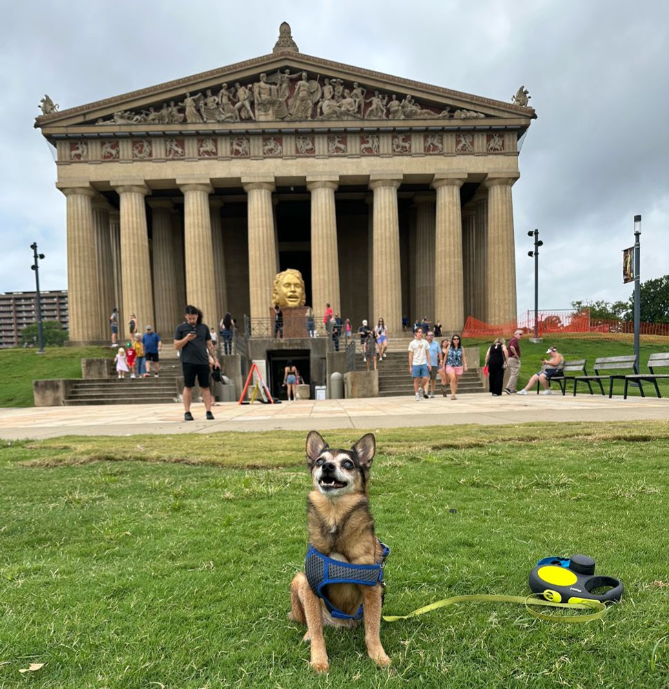 Tiny dog in front of the Parthenon in Nashville Tennessee. 