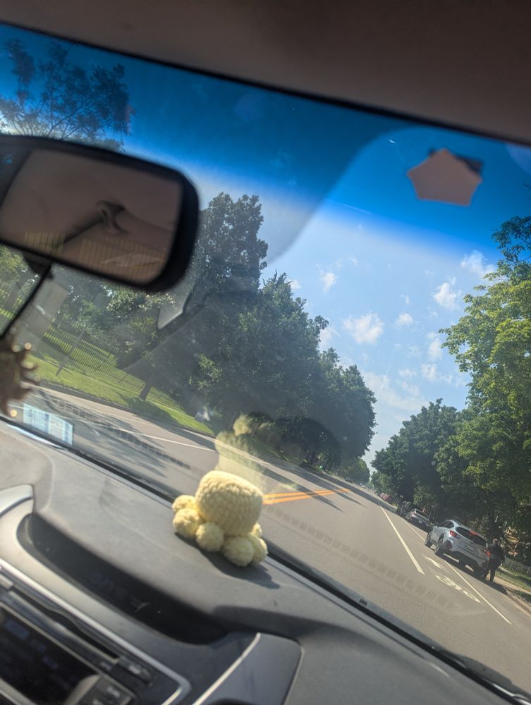 windshield picture from the inside of a car mid-drive on a sunny day. there's trees and an empty street.