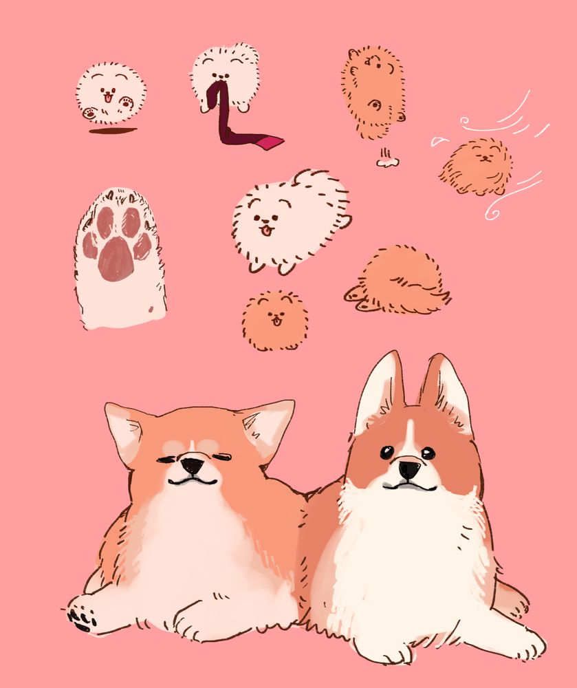 犬（ポメラニアン、コーギー）のイラスト