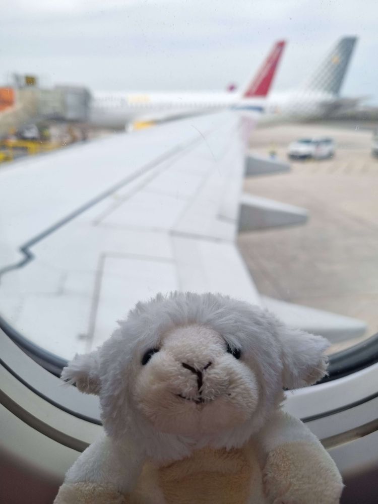 A very small sheep plushie inside a plane and the camera is looking out the window onto the plane wing and the airport.
