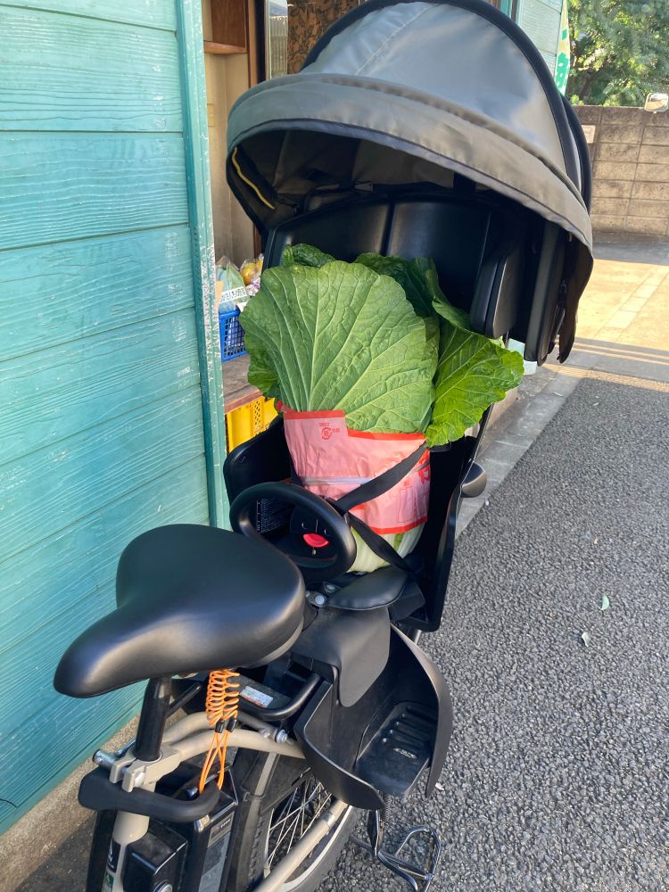 自転車のチャイルドシートに収まっている大きな白菜