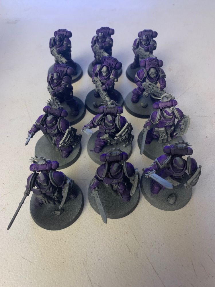Space marines with a purple color scheme over primer, 6 eradicators and 6 bladeguard veterans