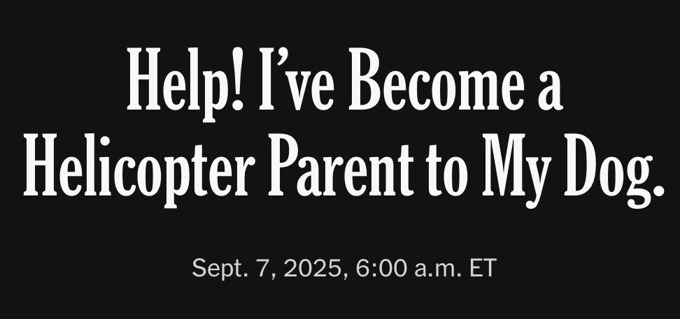Überschrift der New York Times: »Help! I’ve Become a Helicopter Parent to My Dog«