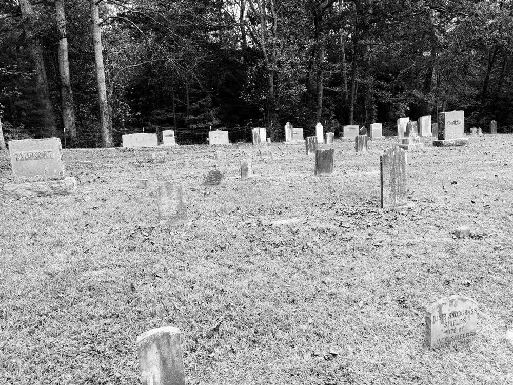 A grayscale photograph of a cemetery in the woods with many headstones.