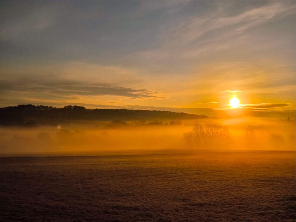 eine malerische Landschaft irgendwo im Westerwald bei Sonnenaufgang. Die Sonne steht tief am Himmel und strahlt ein intensives, goldenes Licht aus, das sich über die gesamte Szenerie erstreckt. Ein sanfter Nebel liegt über dem Land und verleiht der Umgebung eine mystische, verträumte Atmosphäre. Im Vordergrund ist eine offene, leicht frostbedeckte Wiese zu sehen, die sich bis zum Horizont erstreckt. Weiter hinten sind Silhouetten von Bäumen und Hügeln zu erkennen, die teilweise vom Nebel umhüllt sind. Der Himmel zeigt weiche Farbverläufe mit goldenen, orangefarbenen und bläulichen Tönen, die harmonisch ineinander übergehen.