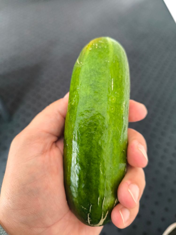 Ich zeige mein Mittagessen
