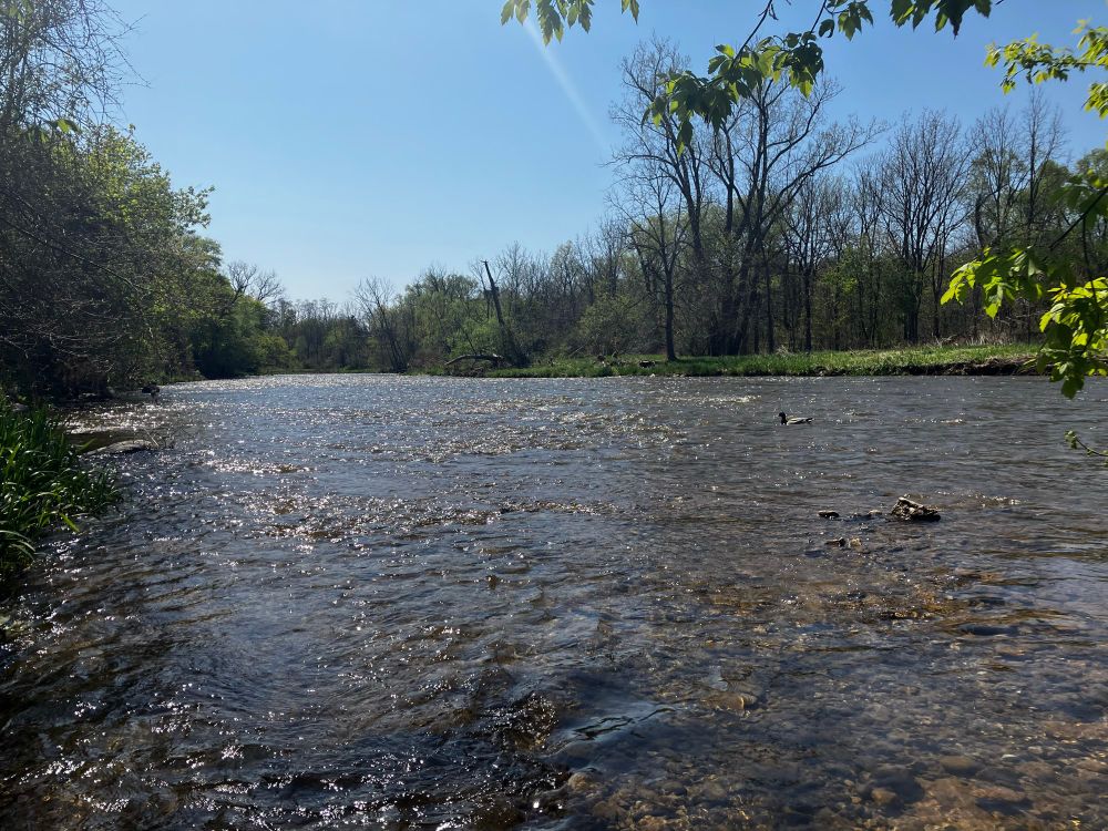 View of a wide and shallow river with two banks on either side. 