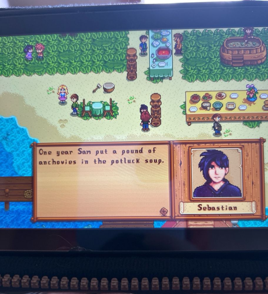 Picture of stardew valley dialogue box with hot emo guy Sebastian with dark swoopy bangs