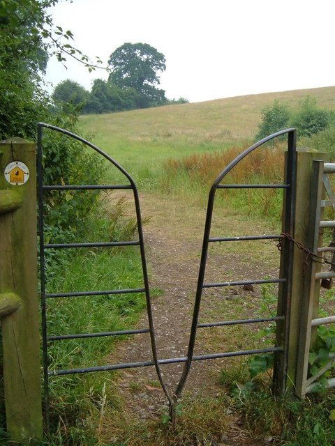 Squeeze stile that functions as a gate as well