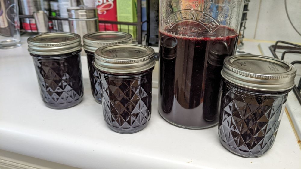 Five jam jars (four small, one giant) filled with deep reddish purple blackberry jam 