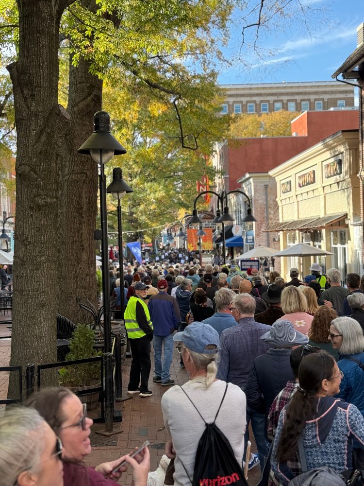 long line of people stretching down the downtown mall