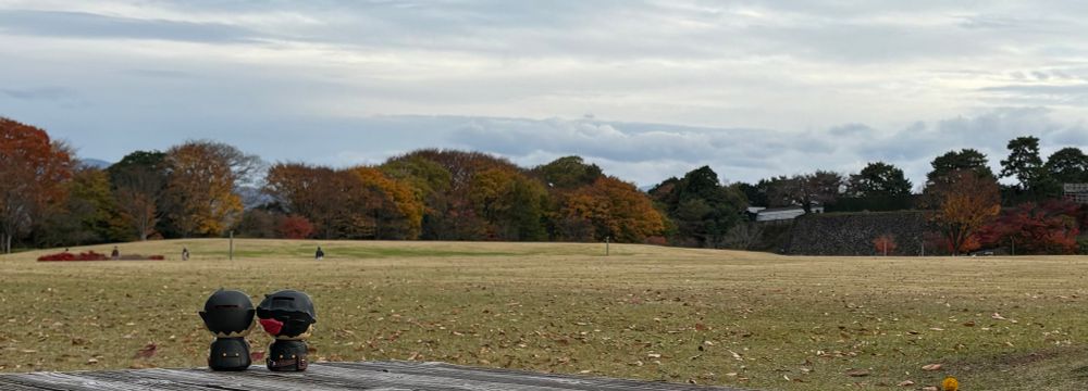 ゆるゆるが紅葉を見ている写真