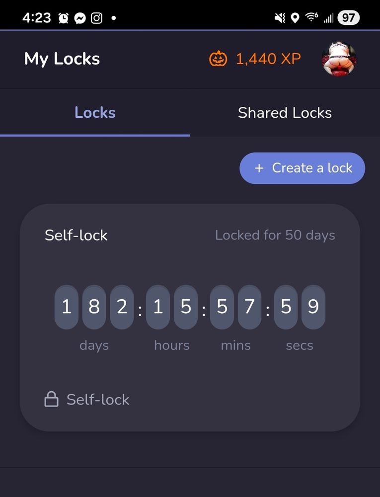 My chaster lock