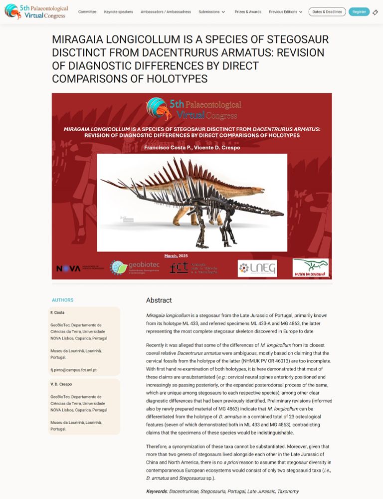 For anyone that might have been confused for the past few months if Miragaia longicollum is a valid species or not, we have a video-talk right now in the Palaeontological Virtual Congress demonstrating how it differs from D. armatus
- mostly reiterating what was already demonstrated in Costa & Mateus (2019), as the last authors that alleged that M. longicollum would be synonymous with D. armatus only discussed 10 out of the 27 characters found to differ M. longicollum MG 4863 from the holotype of D. armatus.
This research differs the most from previous for being the first with first-hand comparisons of both NHMUK PV OR 46013 (the type specimen for Dacentrurinae) and MG 4863 (the most complete dacentrurine in the world), as well as with many other stegosaur type-specimens.
In our presentation you can find many never-before-seen photos of both holotypes, MG 4863 and other specimens comparing these species. 
If you haven't registered yet, you still can for just 5€, and see ours and 350 other scientific presentations until March 25th!! https://www.palaeovc.org/

In our presentation you can find many never-before-seen photos of both holotypes, MG 4863 and other specimens comparing these species side. 

If you haven't registered yet, you still can for just 5€, and see ours and 350 other scientific presentations until March 25th!! https://www.palaeovc.org/