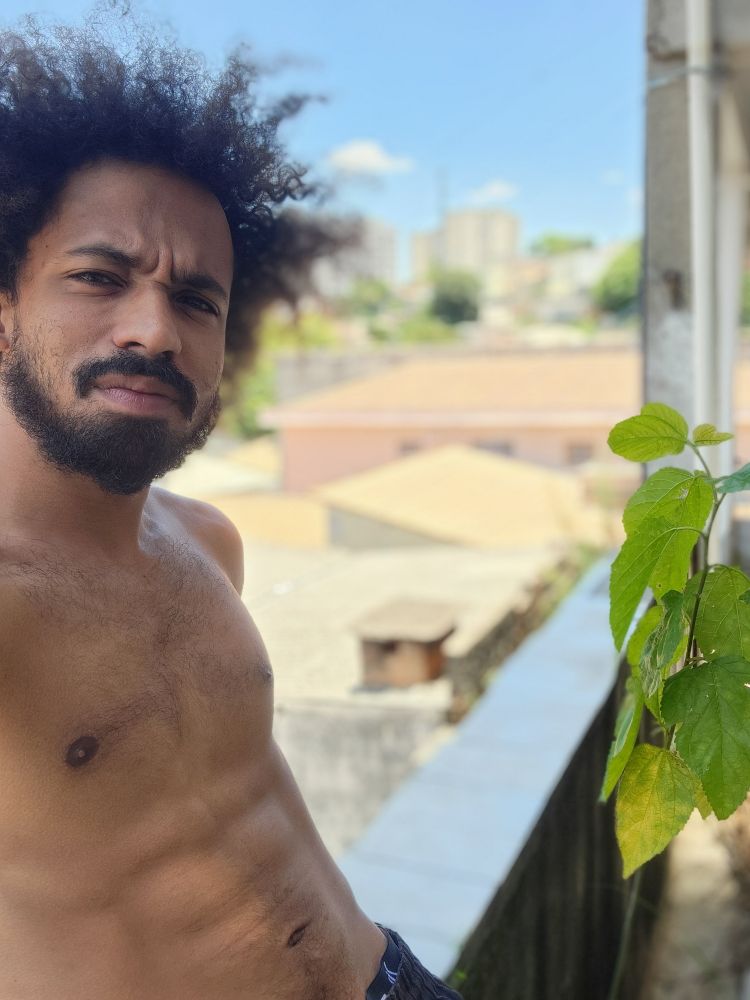 Sentado num muro, sem camisa, sol atrás e do lado das folhas de um pé de amora