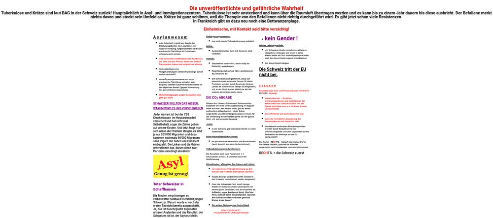 Screenshot des Parteiprogramms von "Rechts-Punkt". Die Inhalte sind stark fremdenfeindlich, konfus formuliert und wild formatiert.