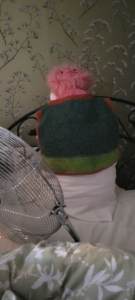 Minigob (a pink goblin plushy) and a pillow inside the sweater vest
