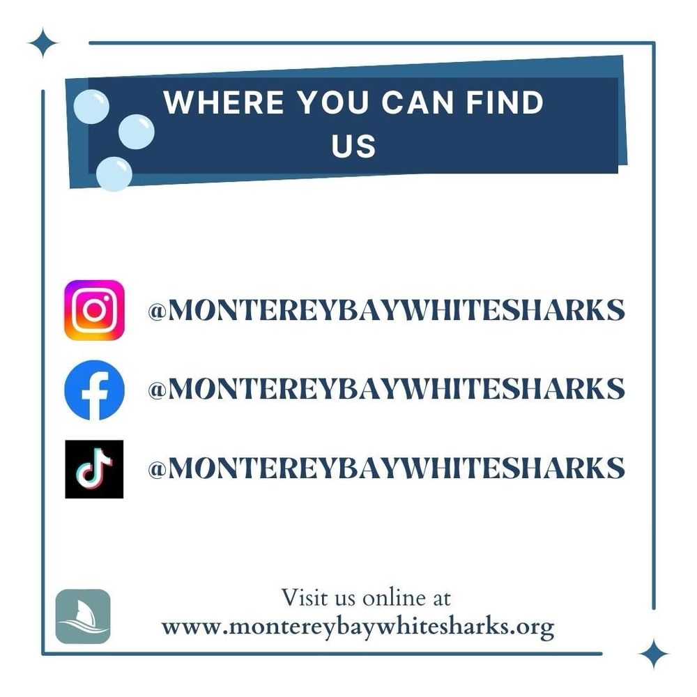 Title card listing different social media platforms for white shark project. 
