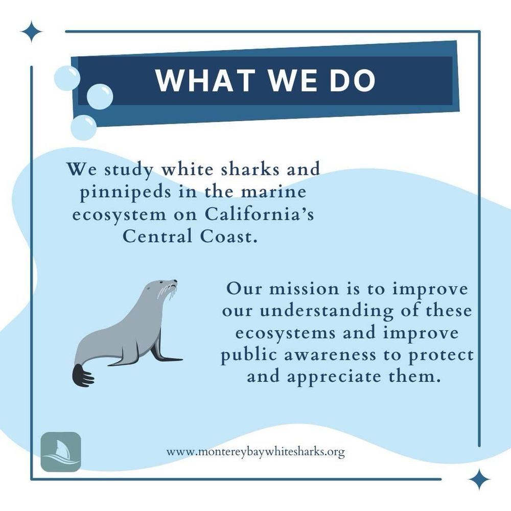 Title card listing goals of white shark program. 