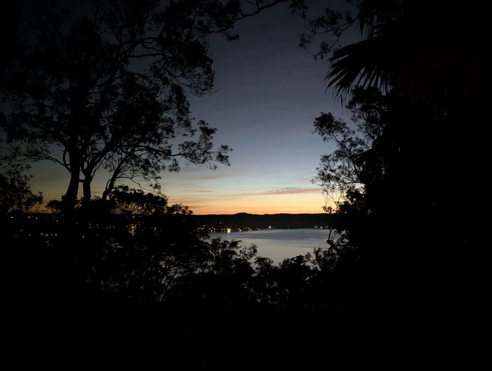 A view through trees of a harbour and sunset at Avalon in Sydney's northern beaches.