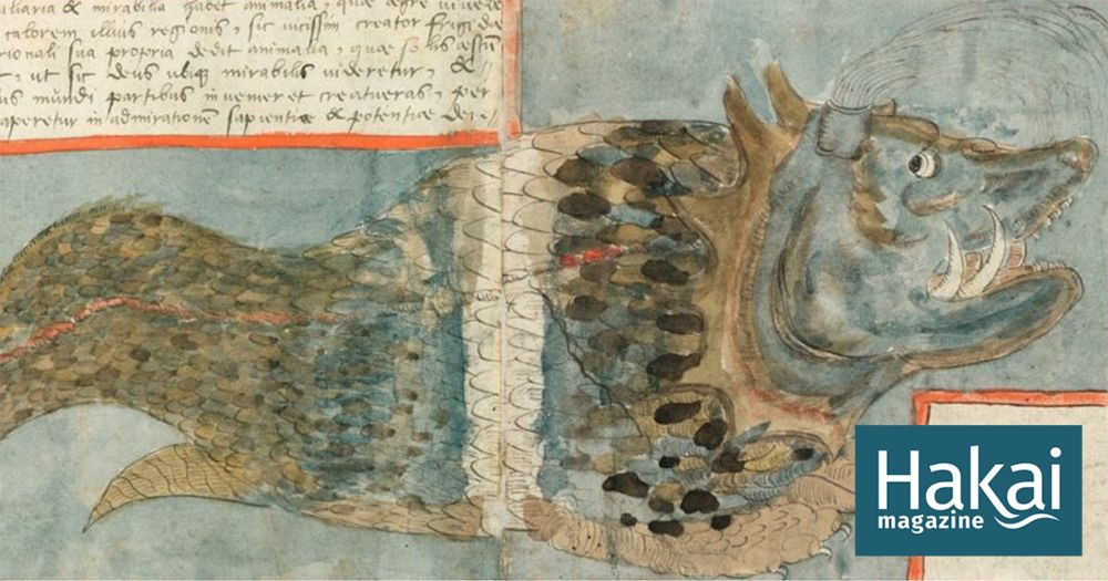 A Renaissance Field Guide to Fantastical Fish | Hakai Magazine