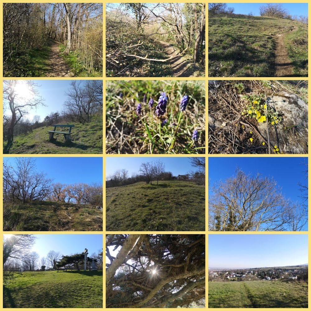 Collage bestehend aus 12 Bildern in der frühlingshaften Natur 