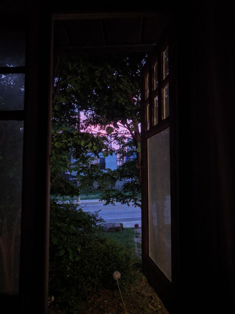 A dark photo of an open bedroom window, leading out into a narrow sliver of garden, shadowed and lush, and a glimpse of the pink and purple sunset beyond.