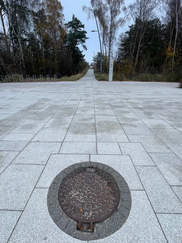 A view along a wide, pale grey tiled promenade bordered by tall, autumnal trees. In the foreground, a round metal manhole cover with the Świnoujście coat of arms sits set into the paving. Beyond it, the promenade leads straight ahead towards the sand dunes and beach, with a narrow path rising gently between the trees. A tall signpost and a streetlamp stand on the right side of the path, while the surrounding vegetation is sparse and wintery.