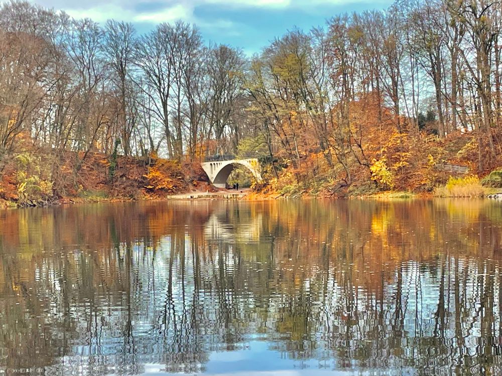 An autumn lake with very still water reflecting trees along the shoreline. The trees are mostly bare, with remaining leaves in yellow, orange and brown. In the centre of the image, a pale stone arched bridge is visible among the trees, with its reflection clearly mirrored in the water. The sky is light blue with thin cloud, and the overall scene feels calm and crisp.