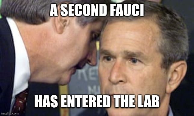 Using the meme template for when WH Chief of Staff Andy Card told George W Bush that a second plane has hit, it says, "A second Fauci has entered the lab."