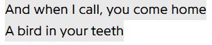 And when I call, you come home
A bird in your teeth