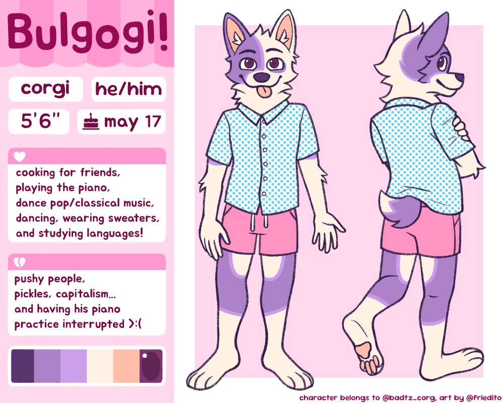 Reference sheet for an anthro corgi. He has purple and light cream fur and is wearing a white shirt with blue polka dots and pink beach shorts.
Text on left side of page includes the following information:

Bulgogi!
corgi, he/him, 5'6", birthday: may 17
loves: cooking for friends, playing the piano, dance pop/classical music, dancing, wearing sweaters, and studying languages!
hates: pushy people, pickles, capitalism... and having his piano practice interrupted >:(