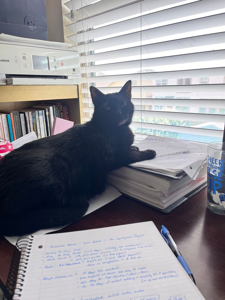 Photo of a black cat laying on top of papers on a desk