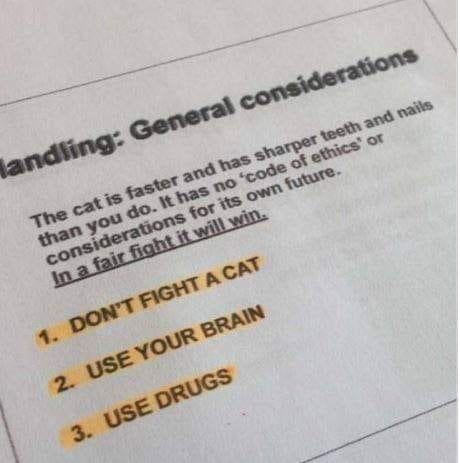 Handling: General considerations 

The cat is faster and has sharper teeth and nails than you do. It has no 'code of ethics' or considerations for its own future. In a fair fight it will win.

1. DON'T FIGHT A CAT
2. USE YOUR BRAIN
3. USE DRUGS